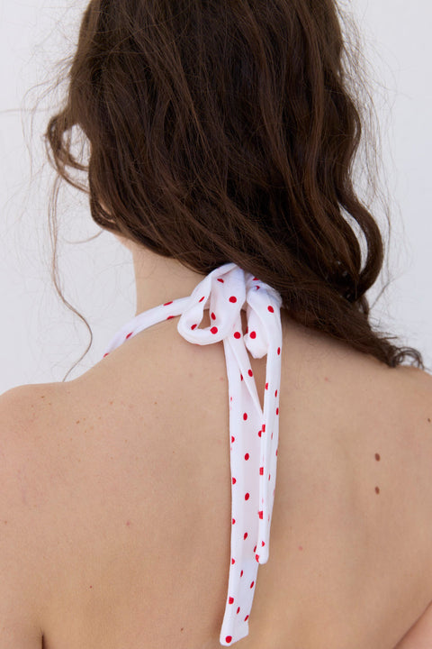 Celine Polka Dress