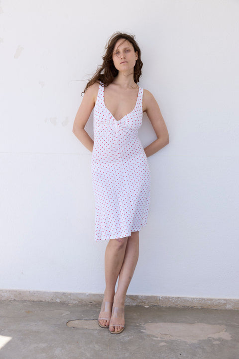 Celine Polka Dress