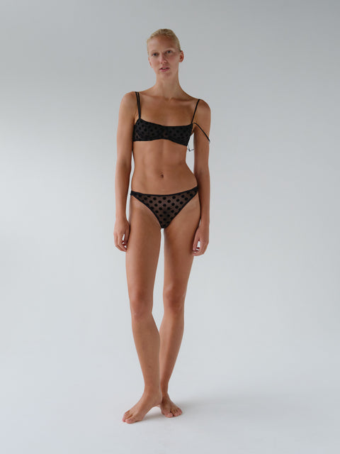 Polka Flock Brief