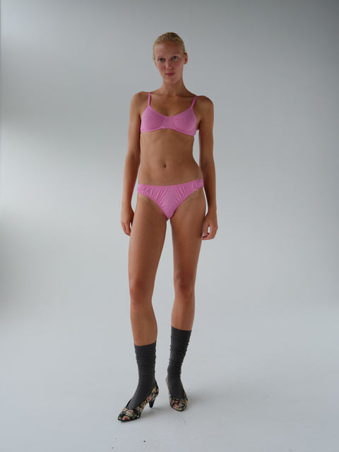 Cindy Brief