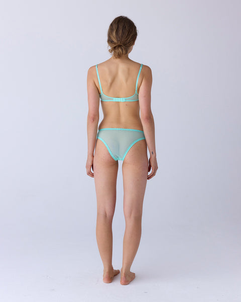Moss Brief