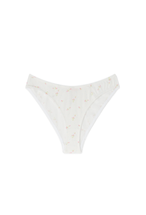 Rosette Brief