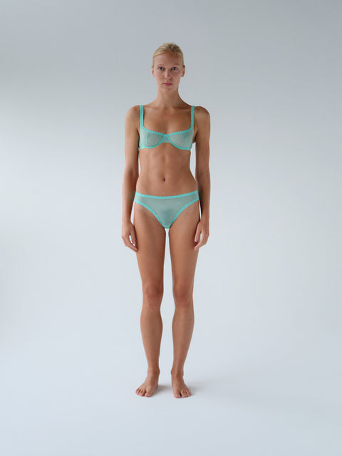 Moss Brief