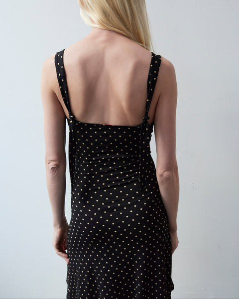 Celine Polka Dress