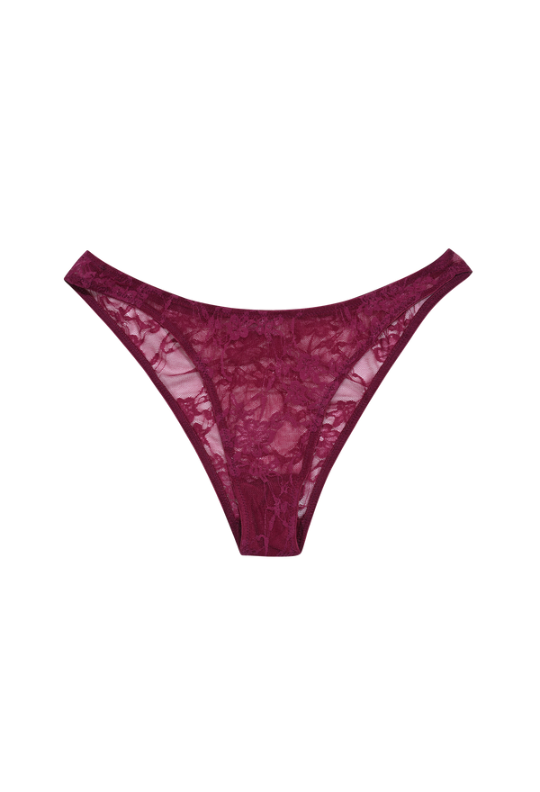 Lace Petunia Brief