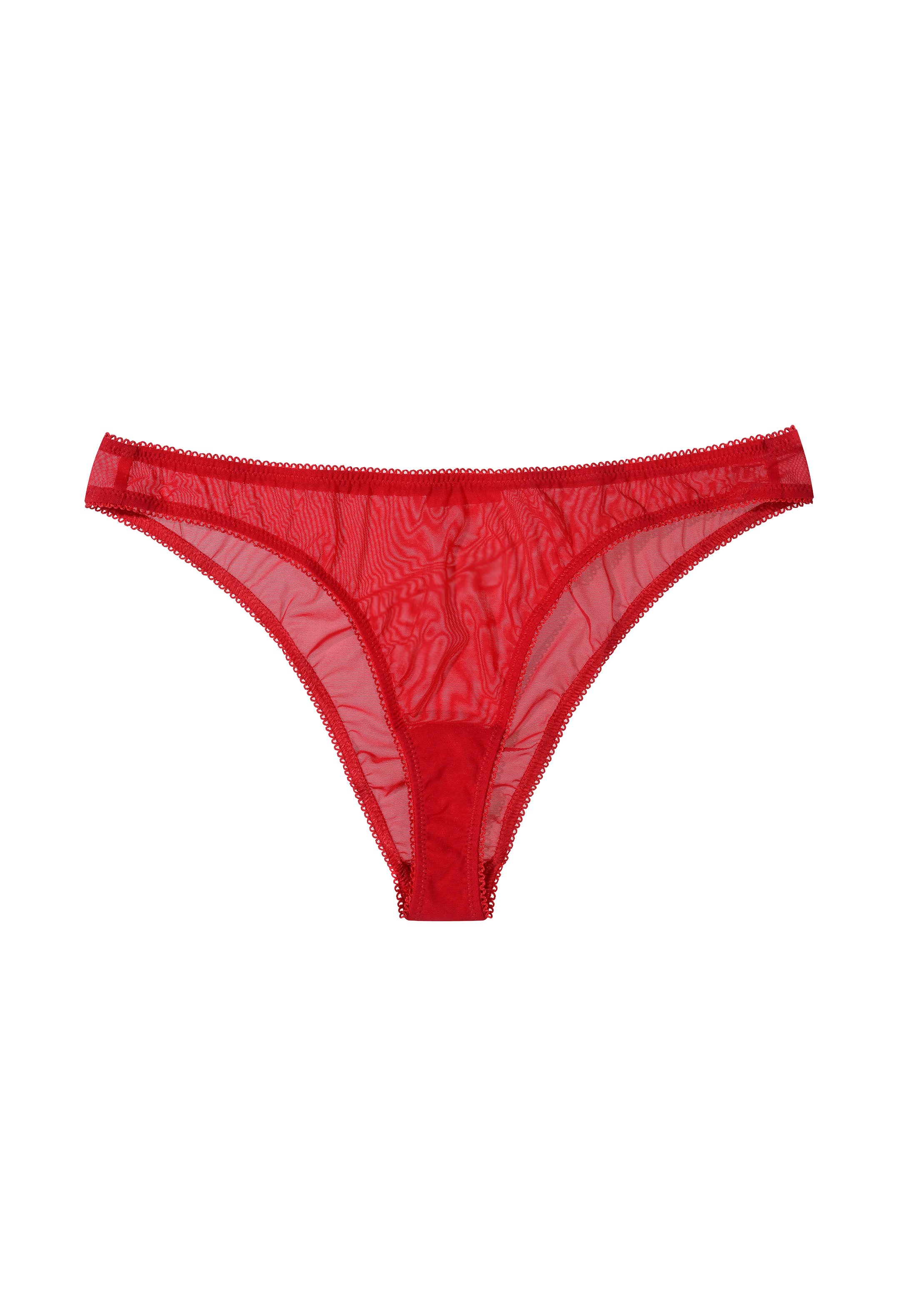 Red Moss Brief